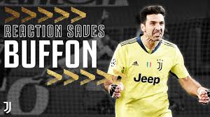 Buffon discovered that animals of different species could be crossbred, but the offspring were infertile: Super Gianluigi Buffon 10 Incredible Reaction Saves Juventus Youtube