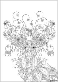 Here's a pretty carnation colouring page for nature studies, giving to a special someone who loves carnations, or just for fun. Flower Coloring Pages For Adults Nature Limitededition Pasha