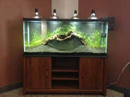 My Inexpensive Cfl Light Solution Page 12 Fresh Water Fish Tank Aquarium Lighting Betta Fish Tank