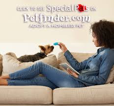 Learn more about a path 4 paws dog rescue in las vegas, nv, and search the available pets they have up for adoption on petfinder. Adopt Special Pals Shelter