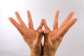 Poses that work specific parts of the body, from yoga for your lower back, to yoga for hamstrings, neck and shoulders and core. Mudra De Lotus Novocom Top