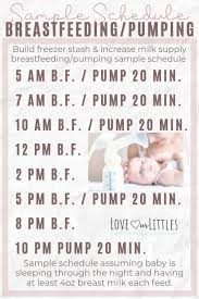 This helps control the pressure in the cylinder from getting too high and potentially — ouch — injuring your penis. Breastfeeding And Pumping Schedule A Complete Beginner S Guide Love Our Littles