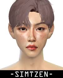 STRAY KIDS Felix Facemask Overlay
