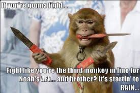 If You Re Gonna Fight Fight Like You Re The Third Monkey In Line For Noah S Ark And Brother It S Startin To Rain Stock Market Year Of The Monkey Investing In Stocks