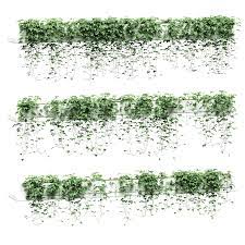 Hanging Ivy In Pots On Long Shelves 3 Models 3d Model Architecture Graphics Architecture Drawing Presentation Architecture Design Sketch