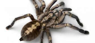 Warum Haben Wir Angst Und Wovor Duda News