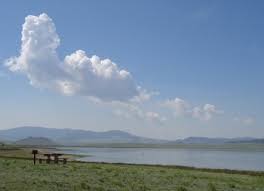 Fly fishing spinney mountain reservoir. Colorado Fishing Network Spinney Reservoir