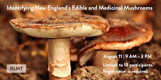 Edible And Medicinal Mushrooms Workshop