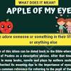 It's an idiom that is often used to describe beauty, for example, a married man might say that, although he was not actively dating at the time, when he met his wife at a party, she caught my eye. 1