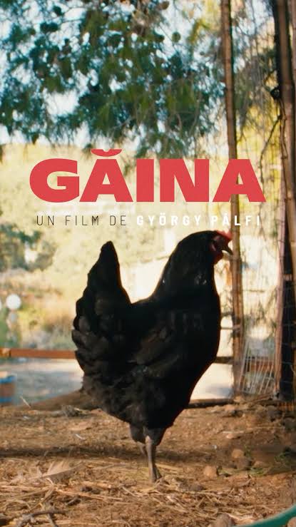 Pentru „GĂINA”, György Pálfi nu a apelat la CGI. A apelat la 8 găini reale,  cumpărate special pentru film, care interpretează pe rând personajul  principal. Găinile sunt din rasa Leghorn, un |