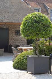 O Paisagismo Elegante De Stijn Cornilly Voce E Classico Mas Sem Aquela Formalidade Rigida Pela Qual O Estilo E Ide Garten Gartengestaltung Steinmauer Garten