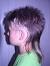 Mens Short Hair With Tail