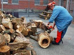 Anyone who heats with wood knows that finding a load of free firewood can save you a lot of time and money. Free Firewood Left To Rot As Program Ends Local Poststar Com