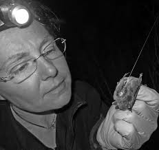 100% Locally Owned & Operated Qat'muk and Jumbo to remain wild in  Ktunaxa-led Indigenous Protected and Conserved Area