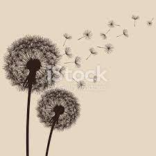 Two Delicate Brown Dandelions Silhouette With Flying Fluff On Beige Dandelion Free Vector Graphics Dandelion Art