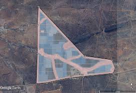 Image result for Afrosolen coeruleus