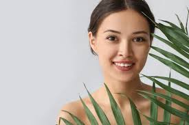 Imagens de Bálsamo vietnamita sem royalties