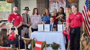 Image result for sharon hooijkaas