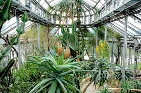 Der botanische garten in puerto de la cruz auf der kanaren insel teneriffa ist besonders interessant und beherbergt eine vielzahl an teilweise schon. Botanischer Garten Berlin Ausflug Mit Kind Himbeer