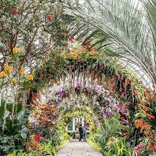 New York Botanical Garden Nybg Instagram Photos And Videos Orchid Show Orchids Garden Botanical Gardens