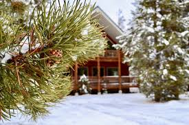 These cabins can hold anywhere from 4 people all the way to 20+ guests. 10 Things To Do In Around Island Park In The Winter Island Park Idaho Island Park Idaho