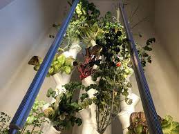 Gardyn Review Building A Wall Of Salad Is Easy With Smart Hydroponics Hydroponics Build A Wall Smart Garden