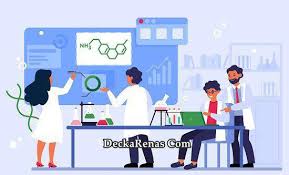 Selain itu diajarkan juga mengenai ilmu gizi, administrasi kebijakan kesehatan serta hal lain yang terkait. 11 Prospek Kerja Kesehatan Masyarakat Kesmas Tahun 2021