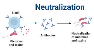 Image result for Neutralization Test
