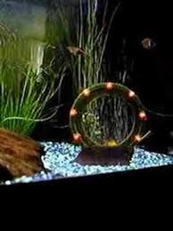 Decor Maquette Porte Des Etoiles Stargate Pour Aquarium Porte Des Etoiles Stargate Idee Deco Appartement