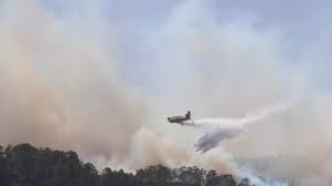 We did not find results for: El Incendio Forestal De Tenerife Pasa A Nivel 2 Y Ya Afecta A 400 Hectareas
