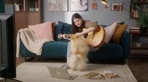 Watch your designs go from dream to reality. Living Room Guitar Stock Video Footage 4k And Hd Video Clips Shutterstock