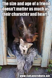 See more ideas about friendship quotes, cute friendship quotes, friends quotes. Friendship Quote Catloversunite Net