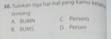 Bumn atau badan usaha milik negara adalah salah satu bentuk dari badan usaha dalam dunia perekonomian. Saya Mau Tanya Jawab Sekarang Ya Trim Brainly Co Id