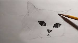 Как рисовать котов картинки