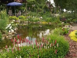 Vielfaltiger Gartenteich In 2020 Gartenteich Gartenteich Gestalten Teich