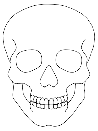 Sugar skull bear 2 calavera. Sugar Skull Coloring Pages Blank Green