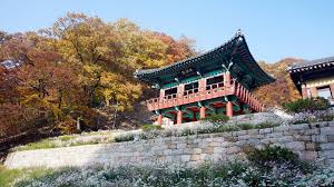 Explore Rural Korea: Cheongyang Alps Village