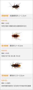 The site owner hides the web page description. èŸ'èž‚ å¨åŠ›å…‹å°ˆæ¥­é™¤èŸ²æœ‰é™å…¬å¸