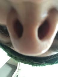Catie Turner On Twitter My Nose Looks Like A Brown Mushroom From Mario Im Wheezing The minecraft map, brown mushroom from mario, was posted by xxxdannisaysrawr. brown mushroom from mario im wheezing