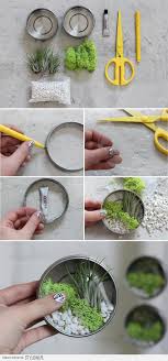 How to care for air plants. 15 Min Diy Mini Air Plant Terrariums I Spy Diy Plants Air Plant Terrarium Terrarium Diy