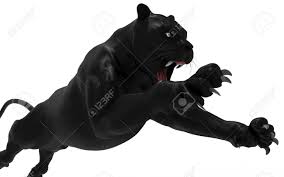 ❤ get the best black panther wallpaper on wallpaperset. Black Panther Isolieren Auf Weissem Hintergrund Black Tiger 3d Illustration 3d Render Lizenzfreie Fotos Bilder Und Stock Fotografie Image 78009323