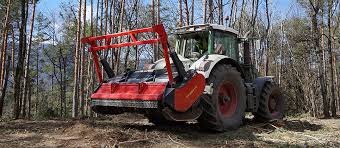 Bringt speziellen mulcher für ferngesteuerte kleinraupen. Seppi M Maxiforst Forstmulcher Mit Hochster Leistung 300 500 Ps