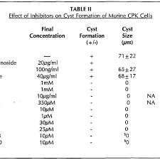 Renal Mass Kidney Cyst Size Chart Bedowntowndaytona Com