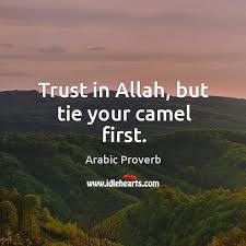 I like his stuff and here he is the hero who fights for the good against the ugly ambition's of the evil prince koura. Trust In Allah But Tie Your Camel First Idlehearts