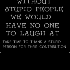 Not only does laughter reduce stress, it lowers your blood pressure, gives you an excellent ab workout, and releases endorphins. Stupid Stupid People Stupid Person Funny Quotes