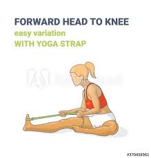 Forward Head To Knee Or Janu Sirsasana Easy Variation With Yoga Strap Colorful Illustration Concept Buy This Stock Vector And Explor In 2020 Yoga Strap Yoga Concept