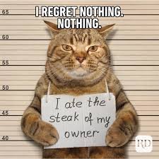 The extremely popular woman yelling at a cat meme features a screencap of the real housewives of beverly hills cast members taylor armstrong and kyle richards combined with a picture of a white cat snarling behind a plate of vegetables. Cat Memes Page 3 Memes Janghaven