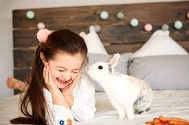 Do Rabbits Make Good Pets Neeness