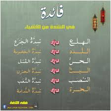 الآية و ل ق د ص د ق ك م الل ه و ع د ه إ ذ ت ح س ون ه م ب إ ذ ن ه ح ت ى إ ذ ا ف ش ل ت م Learn Arabic Language Learning Arabic Islamic Phrases