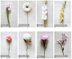 We did not find results for: Wedding Flowers Wedding Bouquet Flower Types